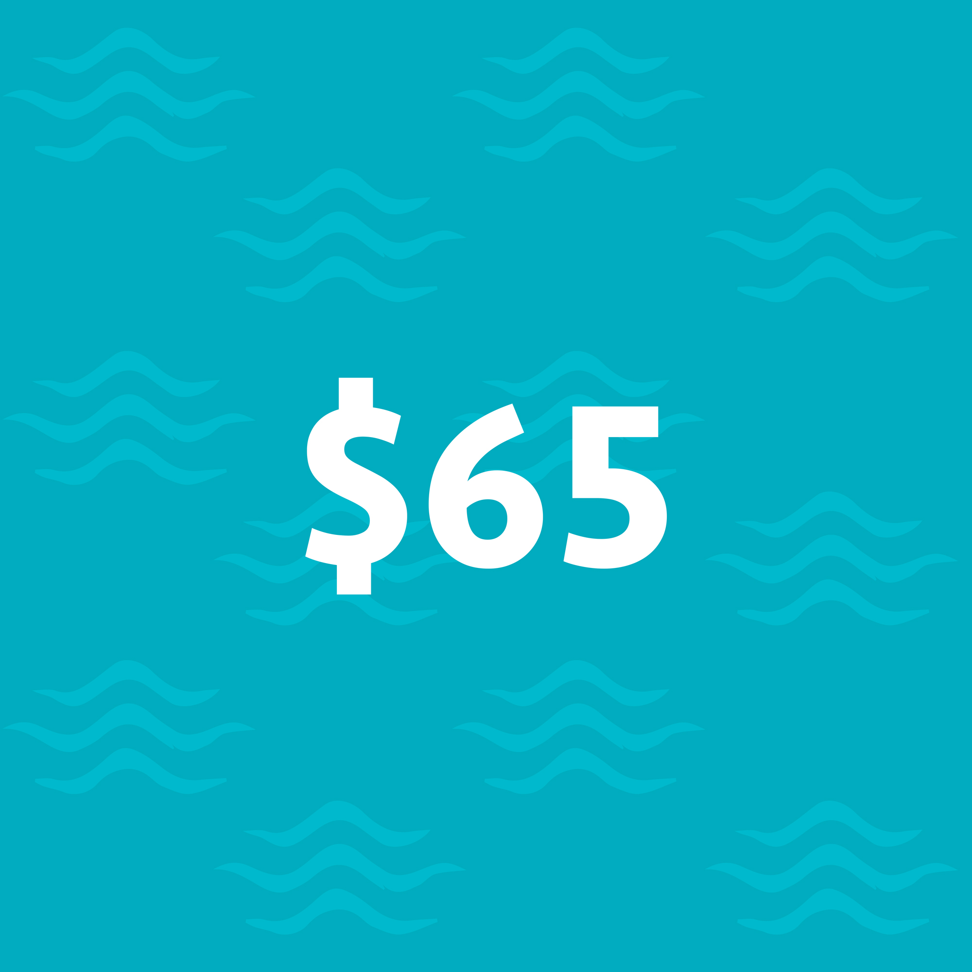 65